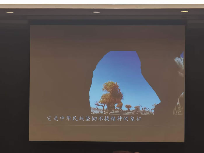 綿陽中旅行假日旅行社舉行胡楊林、南疆專列推薦會(huì)